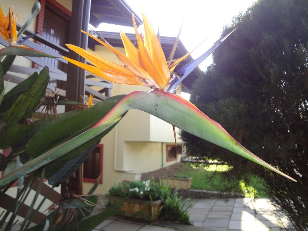 Pousada Floratta Nossa Casa Gramado Exterior foto