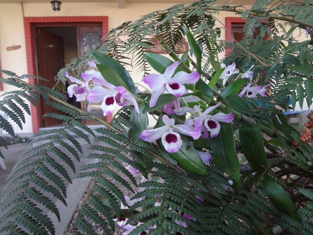Pousada Floratta Nossa Casa Gramado Exterior foto